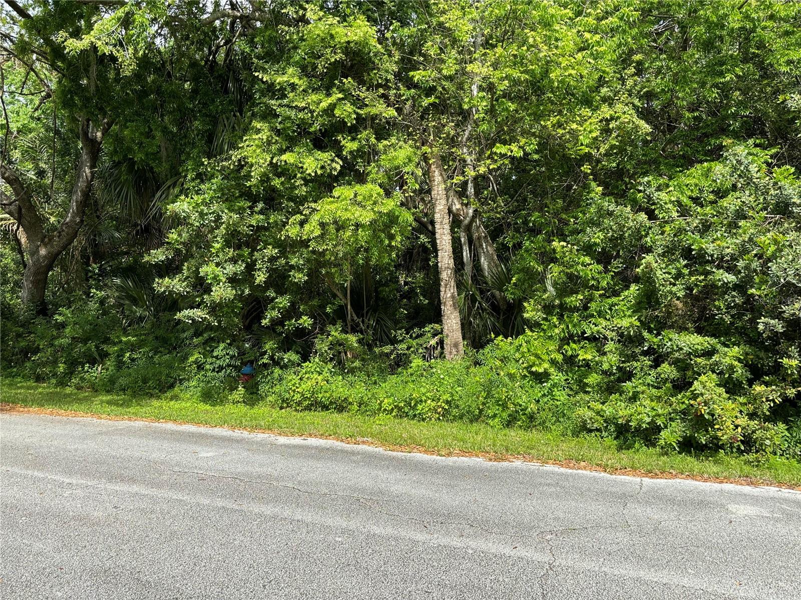 POINCIANA RD, EDGEWATER, FL, 32141