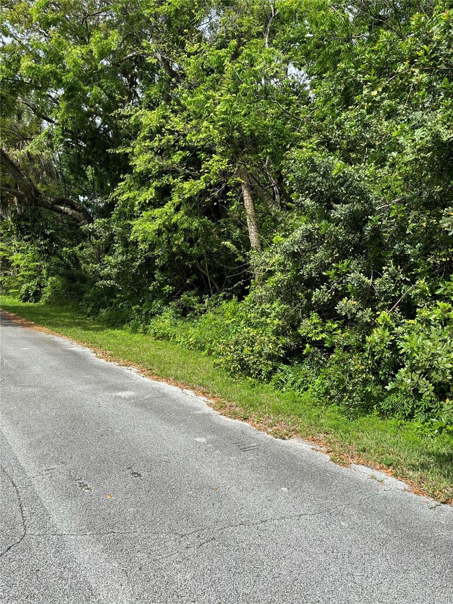 0 POINCIANA RD, EDGEWATER, FL, 32141