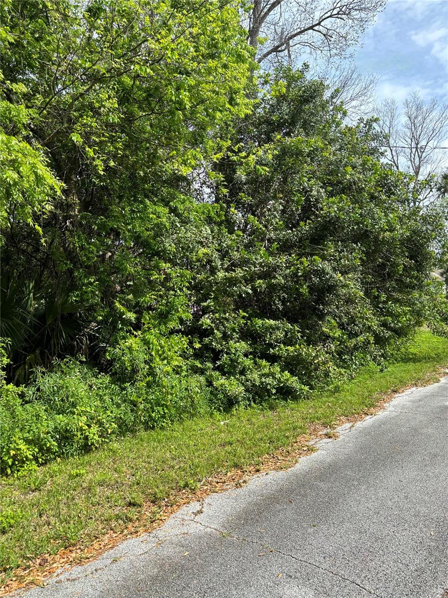 0 POINCIANA RD, EDGEWATER, FL, 32141