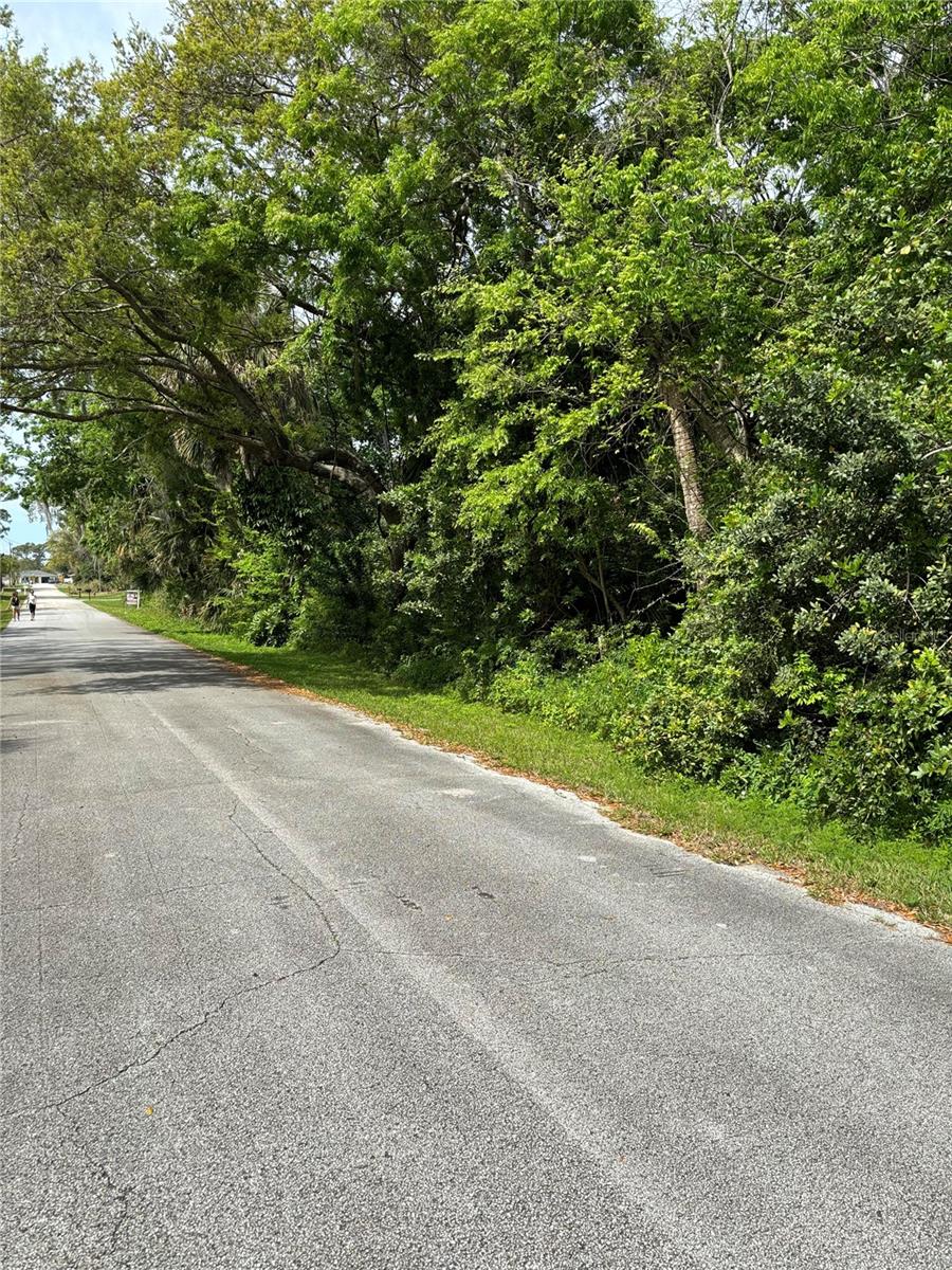 0 POINCIANA RD, EDGEWATER, FL, 32141