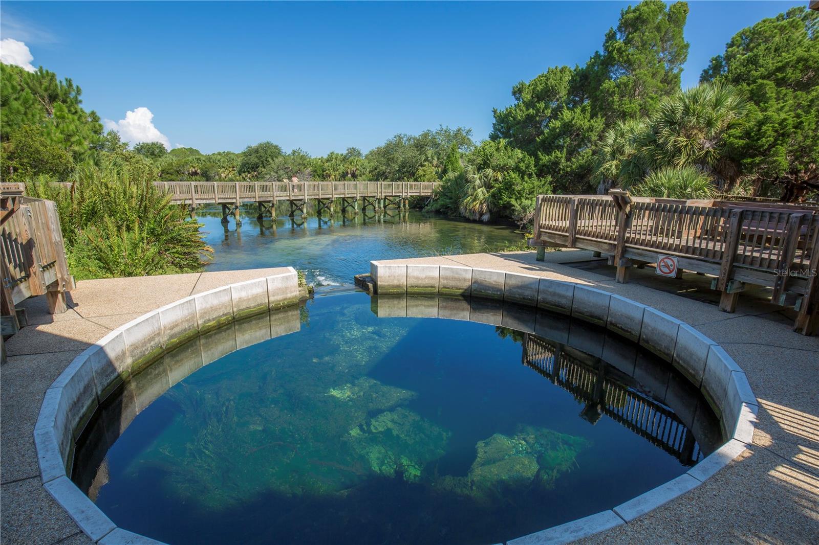 898 SKYE LN, PALM HARBOR, FL, 34683