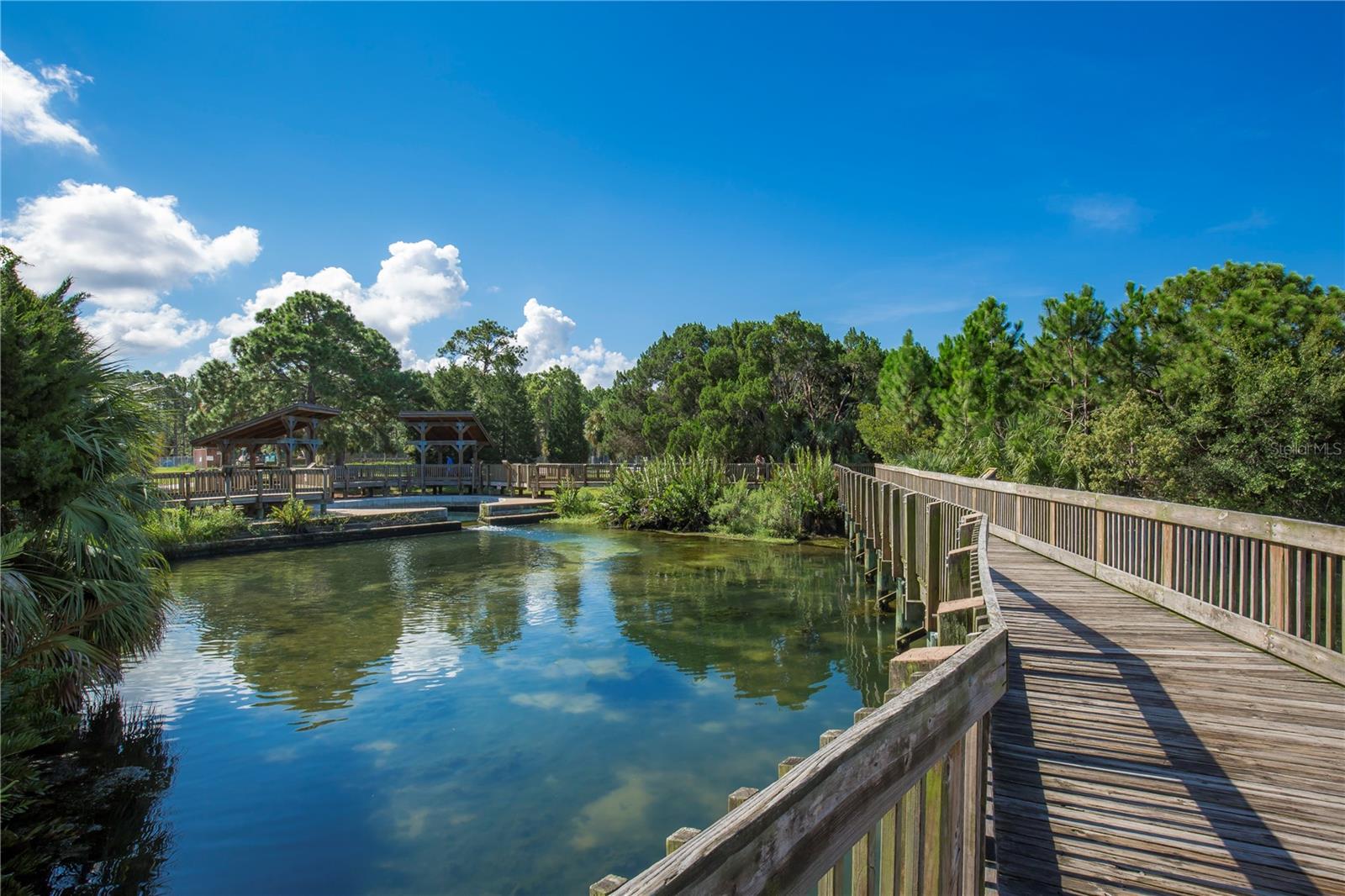 898 SKYE LN, PALM HARBOR, FL, 34683