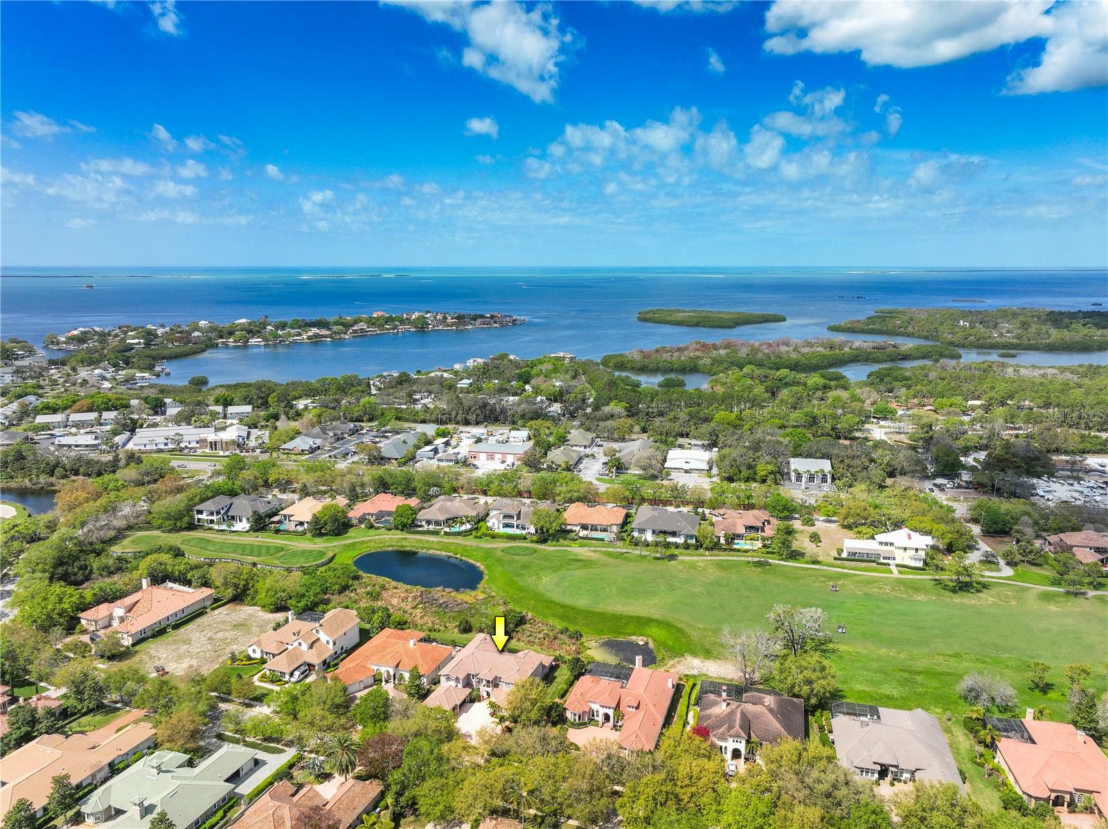 898 SKYE LN, PALM HARBOR, FL, 34683