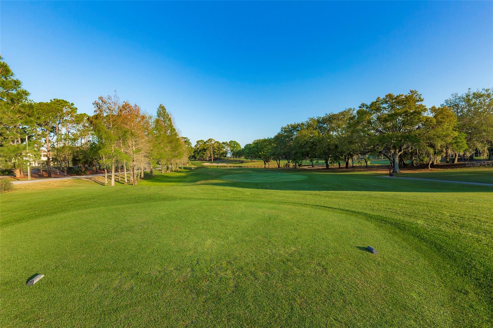 898 SKYE LN, PALM HARBOR, FL, 34683