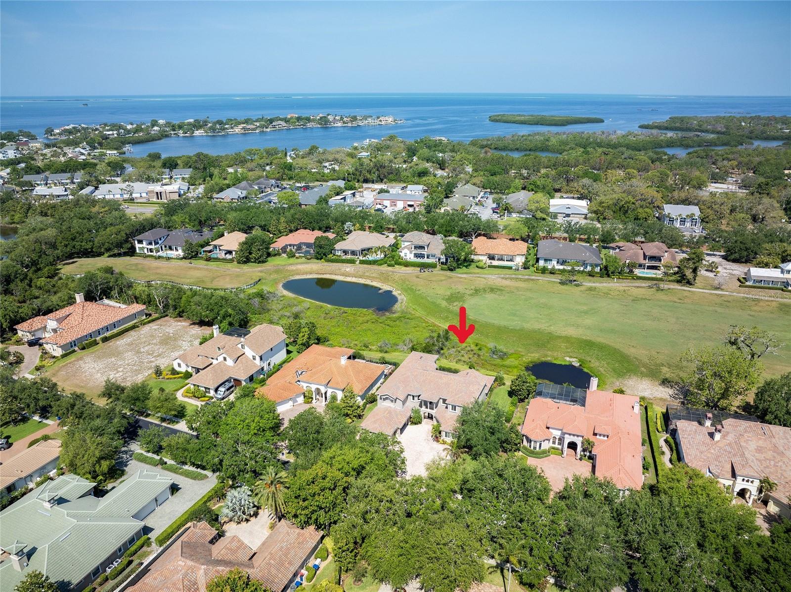 898 SKYE LN, PALM HARBOR, FL, 34683