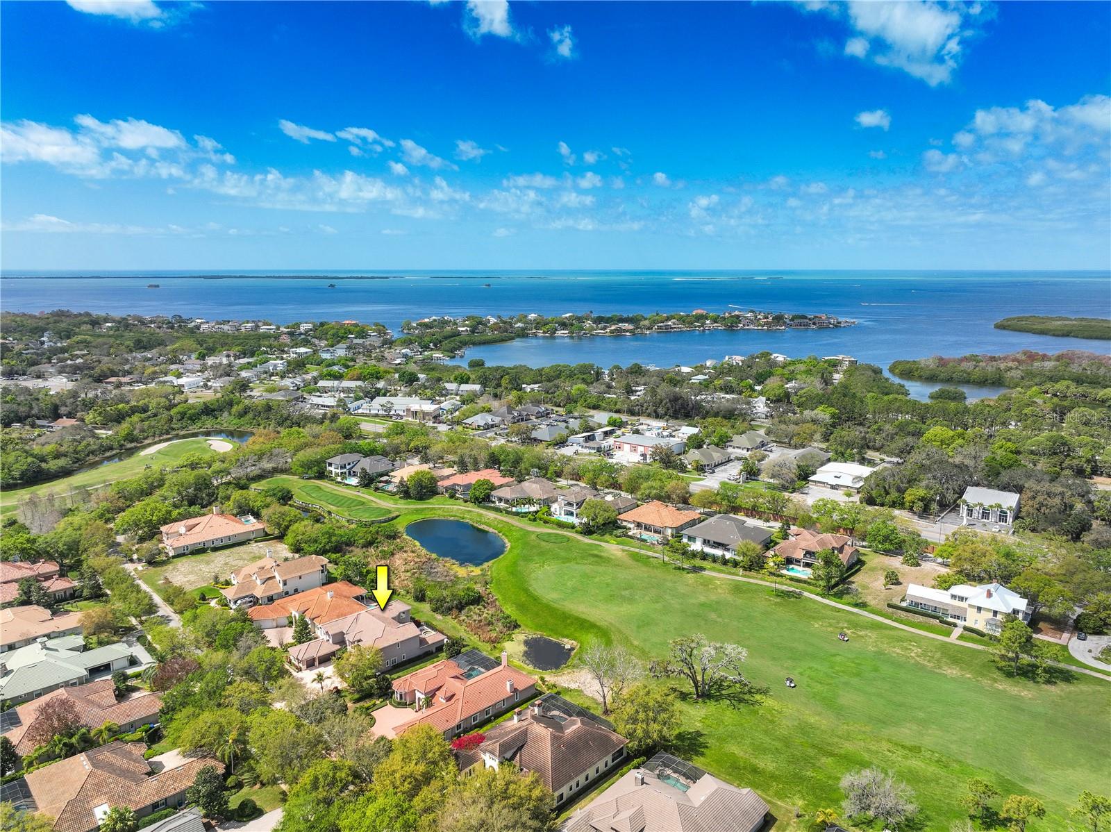 898 SKYE LN, PALM HARBOR, FL, 34683