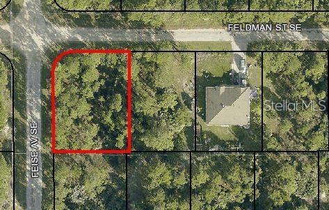 00 FELDMAN ST SE, PALM BAY, FL, 32909