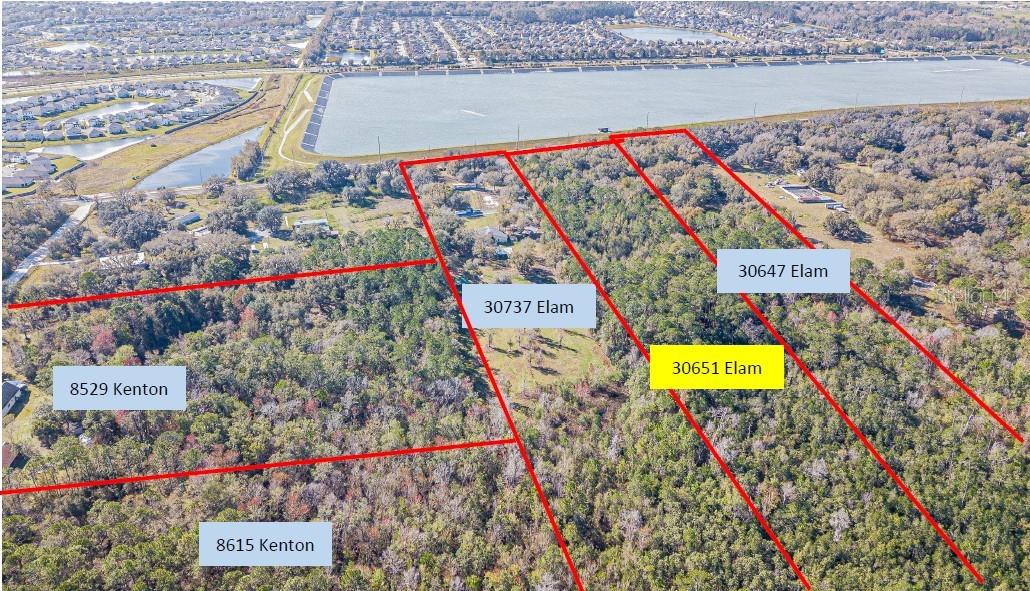 30651 ELAM RD, WESLEY CHAPEL, FL, 33545