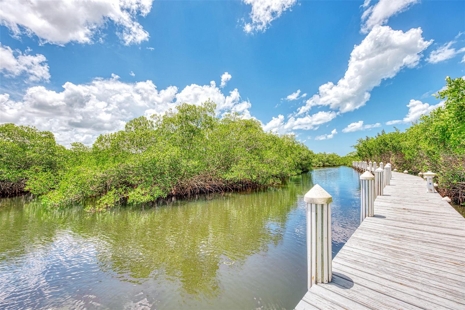 5531 CANNES CIR #704, SARASOTA, FL, 34231