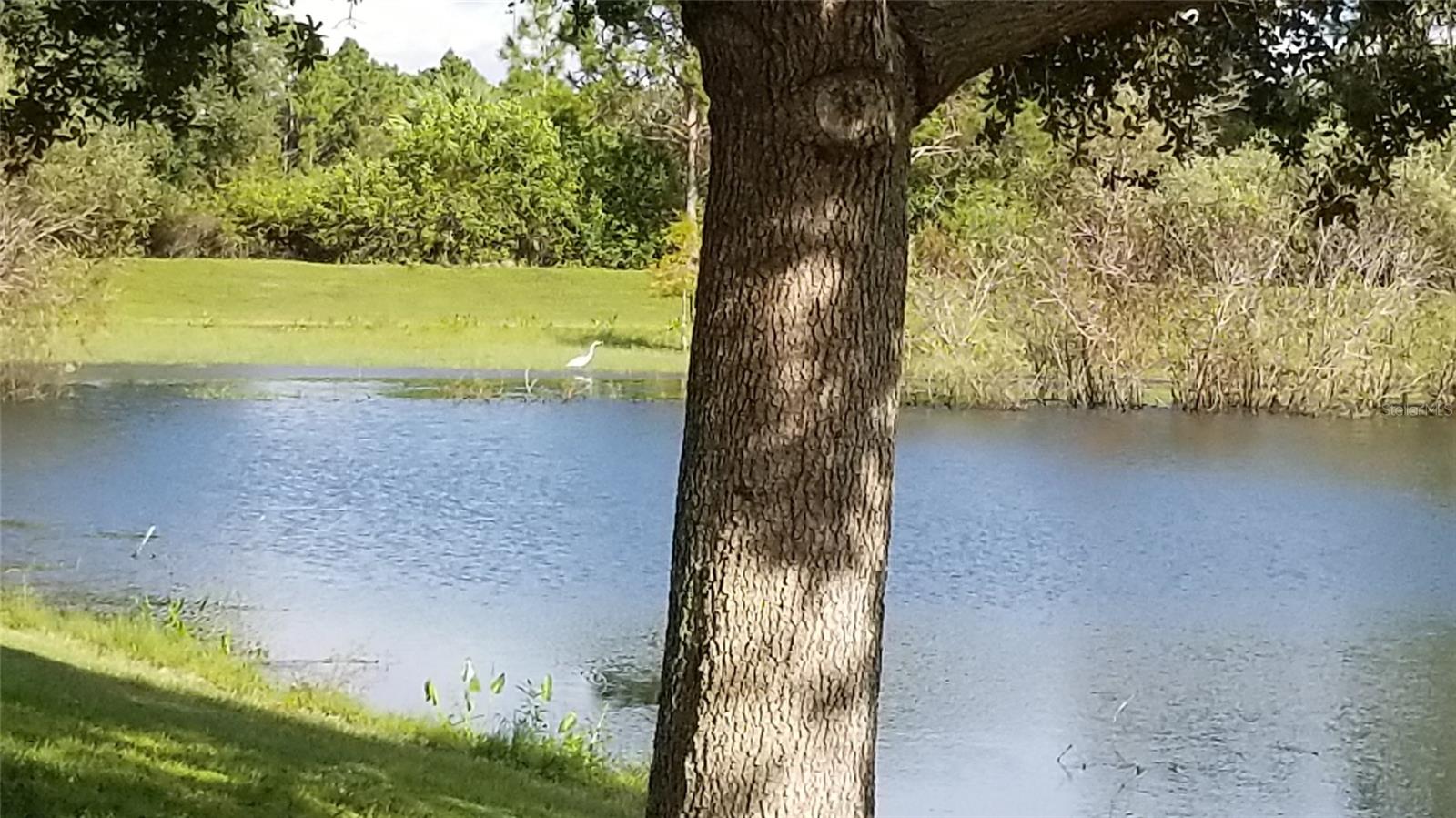 1006008527 MAURBACH TER, NORTH PORT, FL, 34286