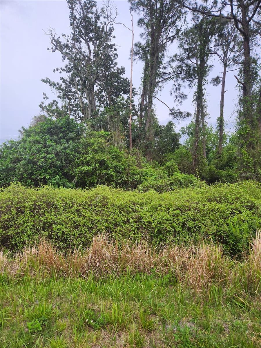432 BRANBURY AVE, LAKE PLACID, FL, 33852