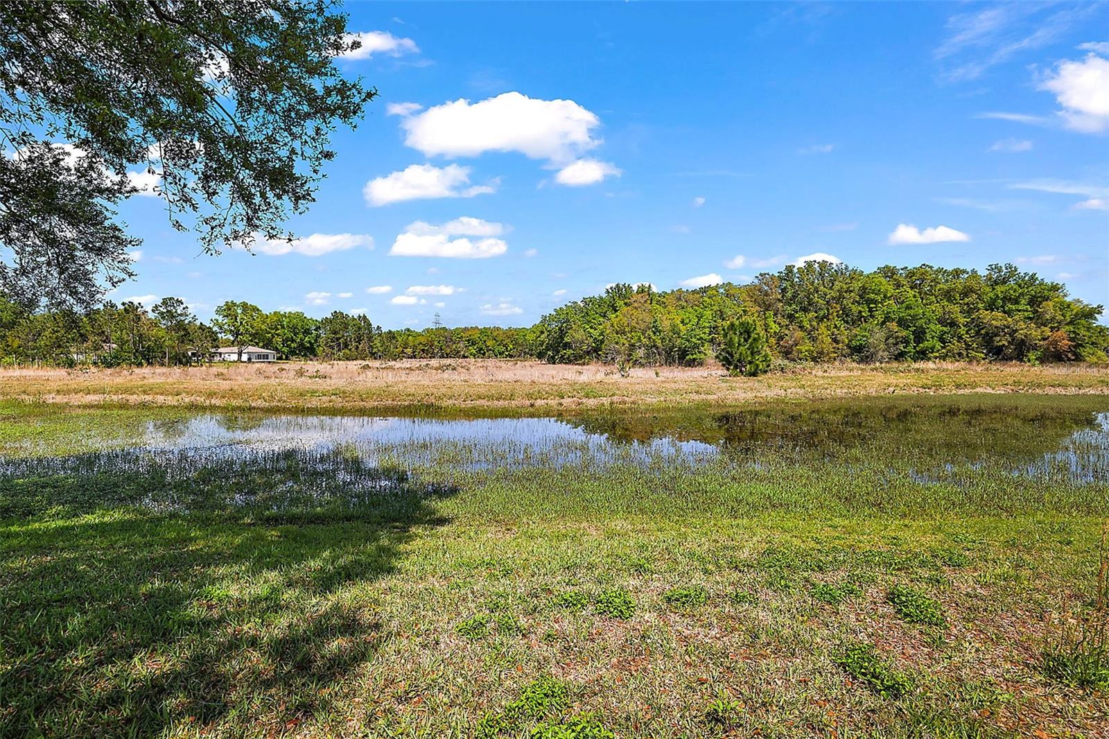 4912 HERON RUN CIR, LEESBURG, FL, 34748