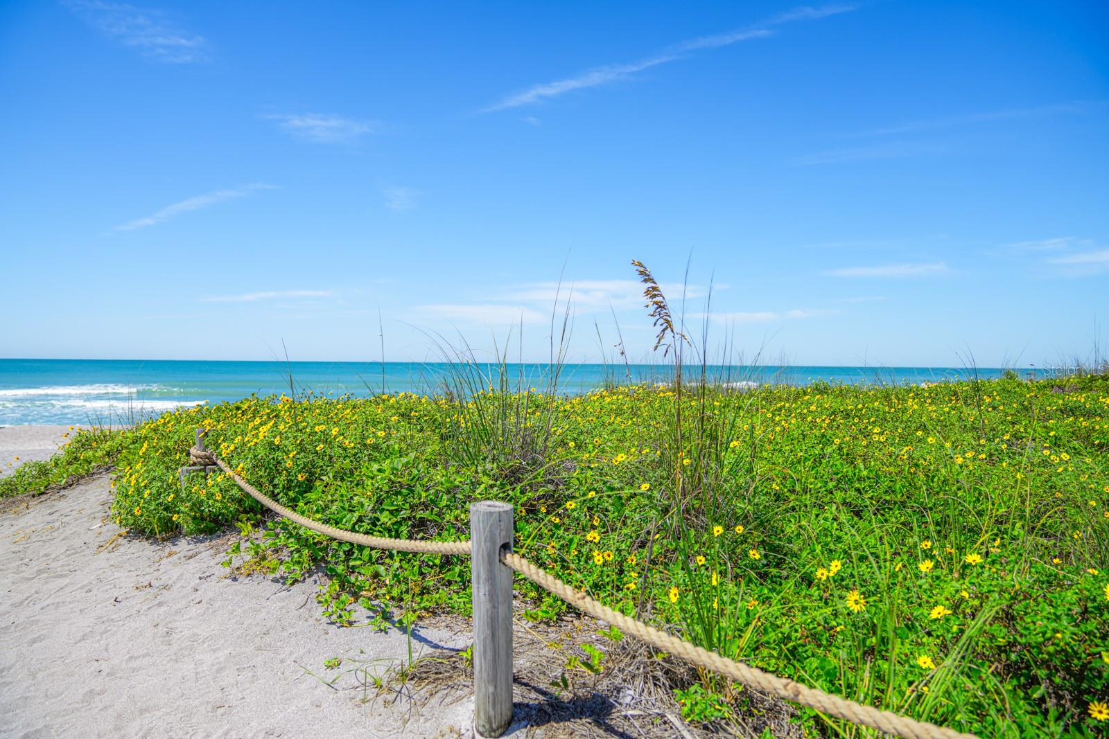 7401-B MIDNIGHT PASS RD, SARASOTA, FL, 34242