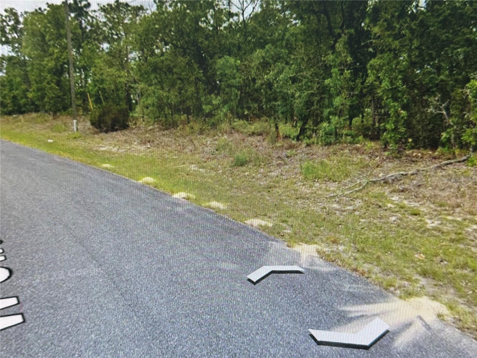2466 W SWANSON DR, CITRUS SPRINGS, FL, 34434