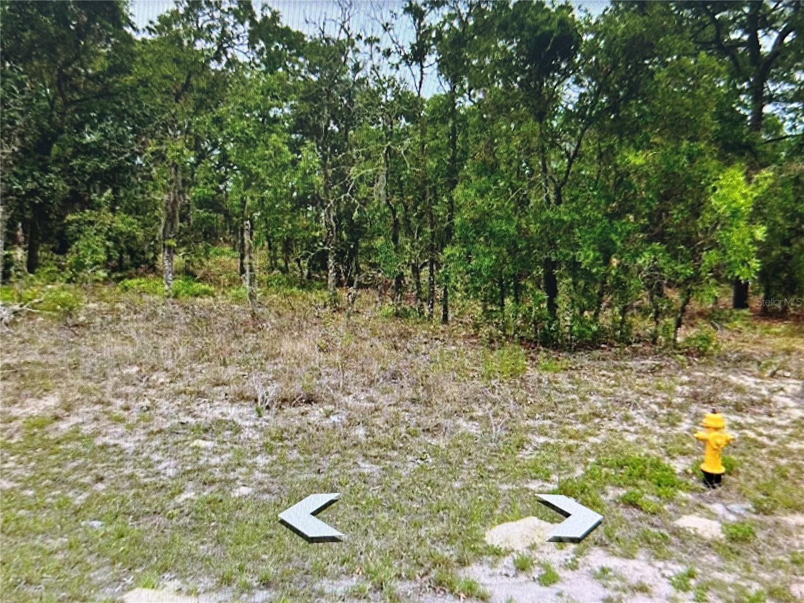 2466 W SWANSON DR, CITRUS SPRINGS, FL, 34434