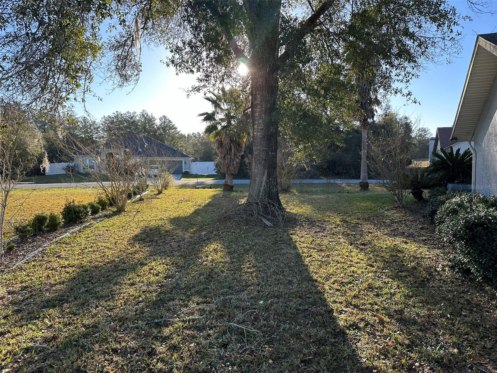 3817 SW 161ST LOOP, OCALA, FL, 34473