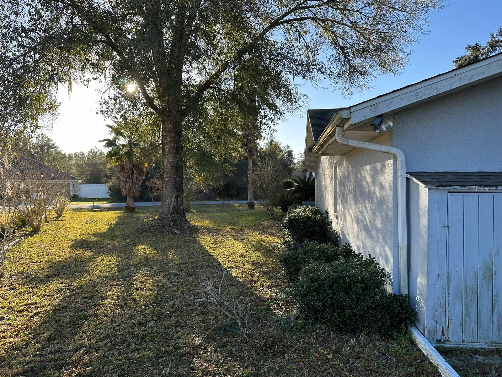 3817 SW 161ST LOOP, OCALA, FL, 34473
