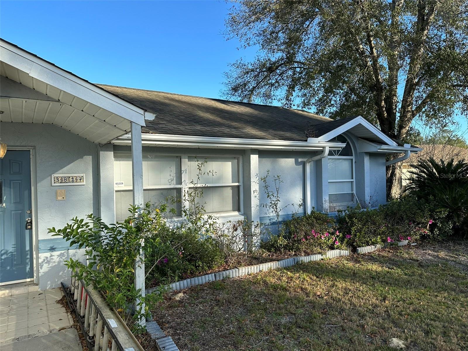 3817 SW 161ST LOOP, OCALA, FL, 34473