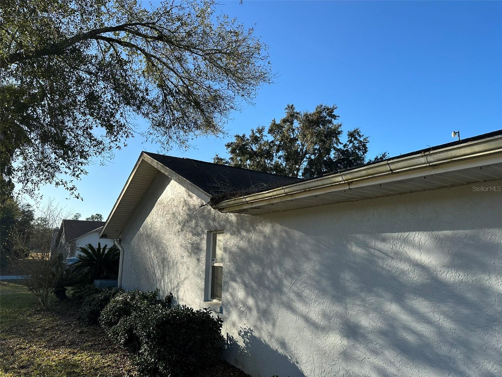 3817 SW 161ST LOOP, OCALA, FL, 34473