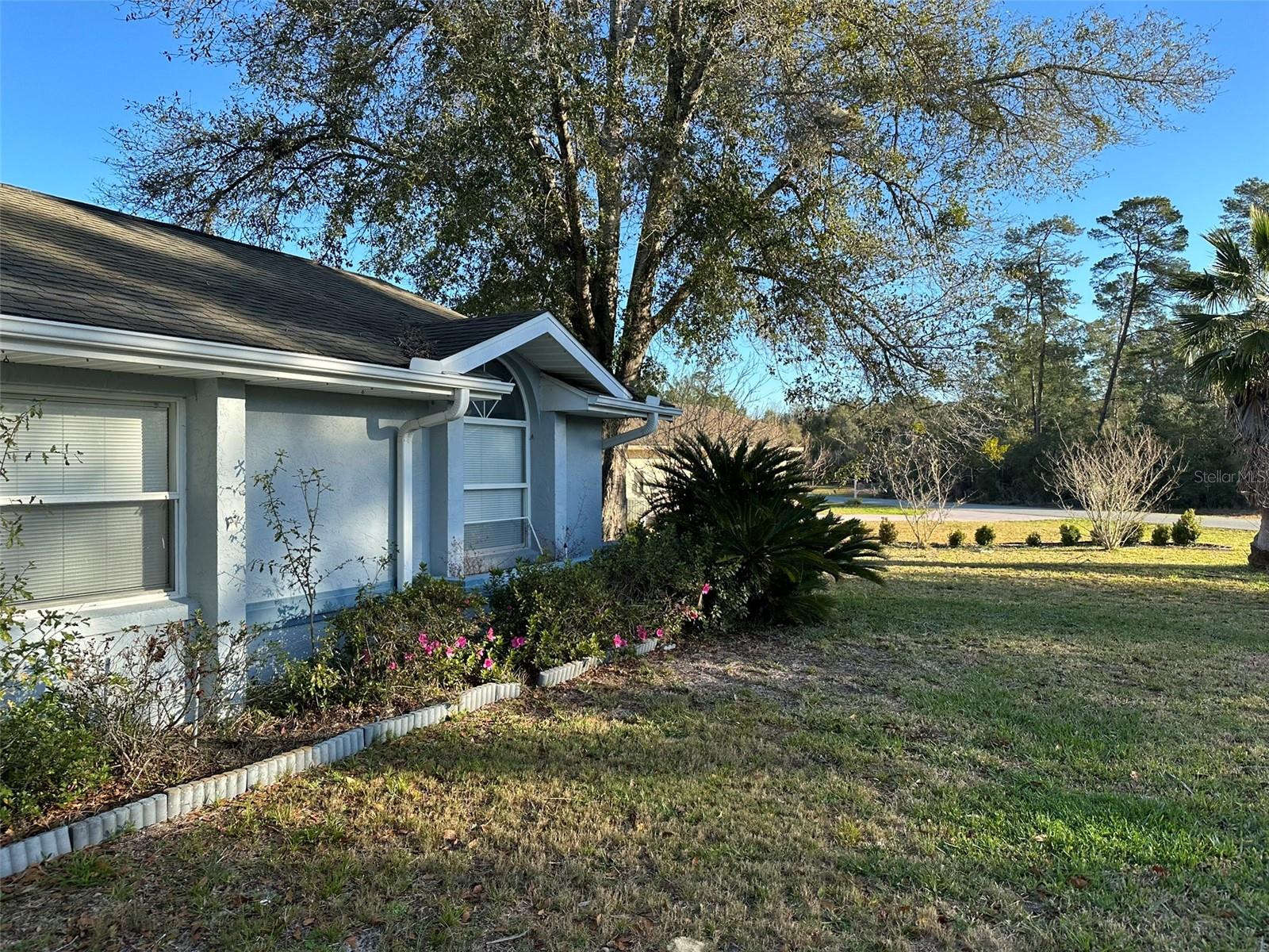 3817 SW 161ST LOOP, OCALA, FL, 34473