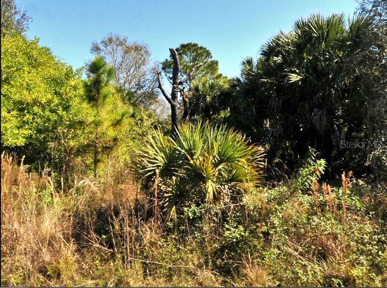 FIVELEAF RD, NORTH PORT, FL, 34288