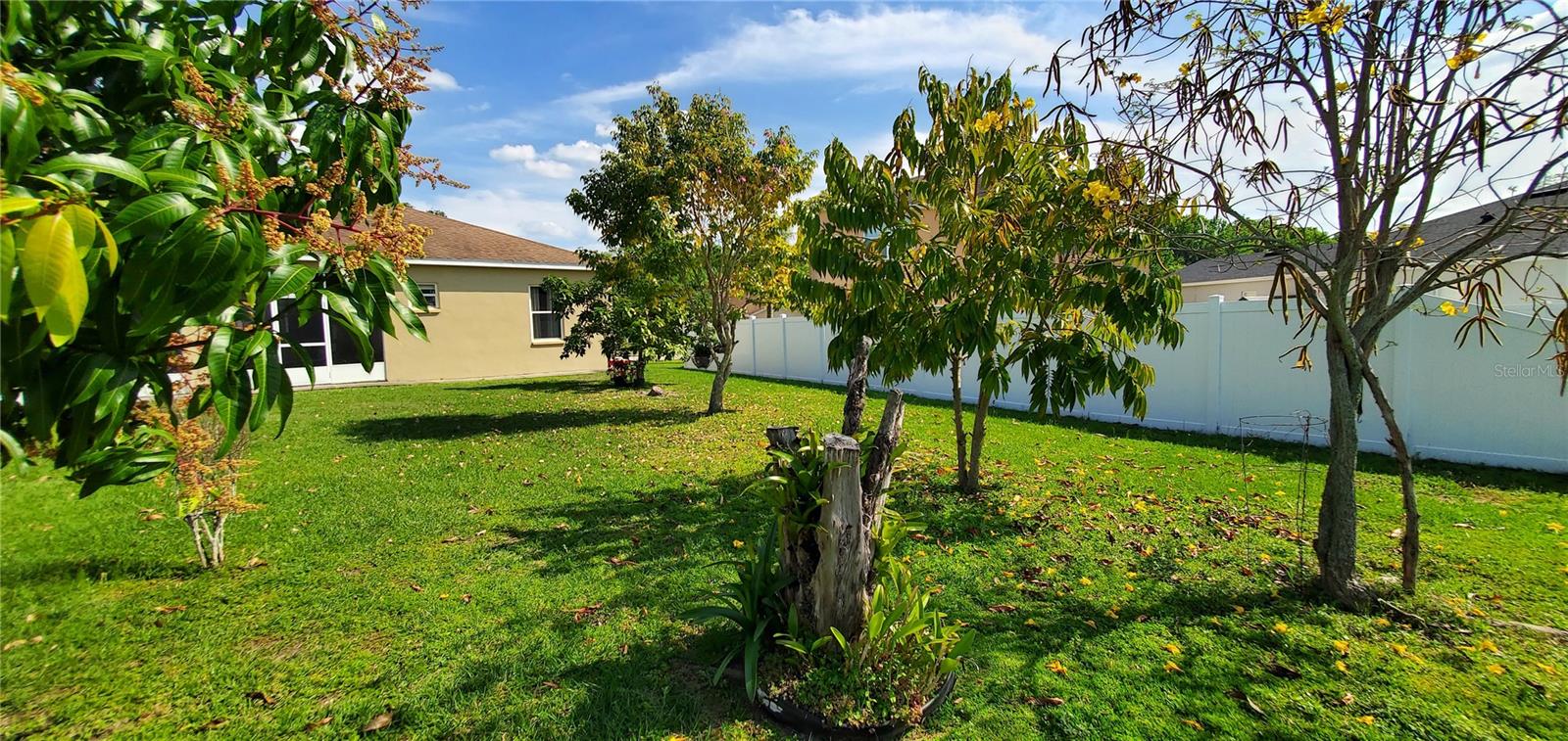 3268 ENCLAVE BLVD, MULBERRY, FL, 33860