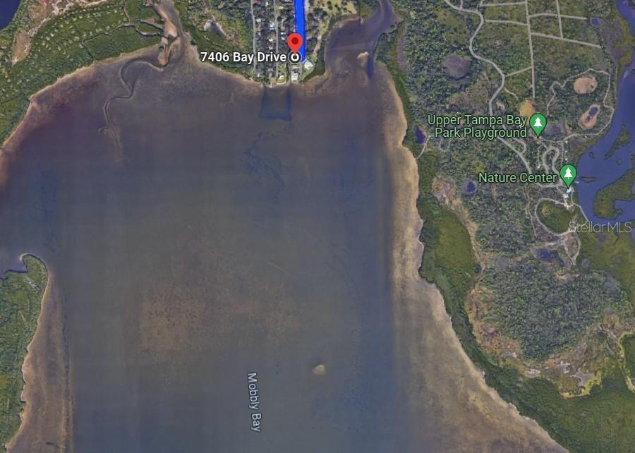 7406 BAY DR, TAMPA, FL, 33635