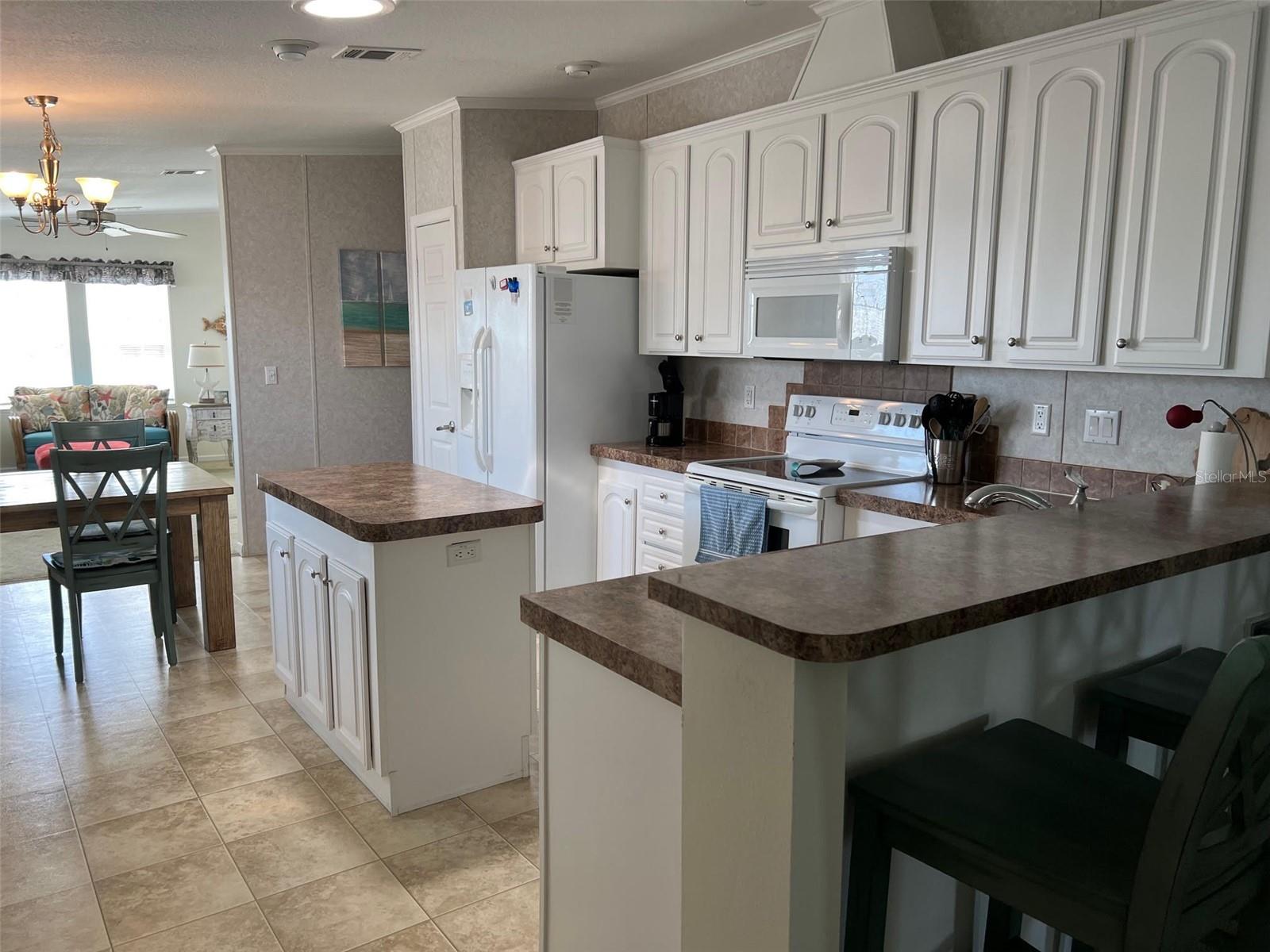 13225 101ST ST #482, LARGO, FL, 33773