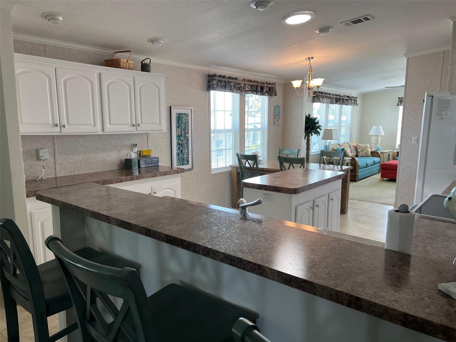 13225 101ST ST #482, LARGO, FL, 33773