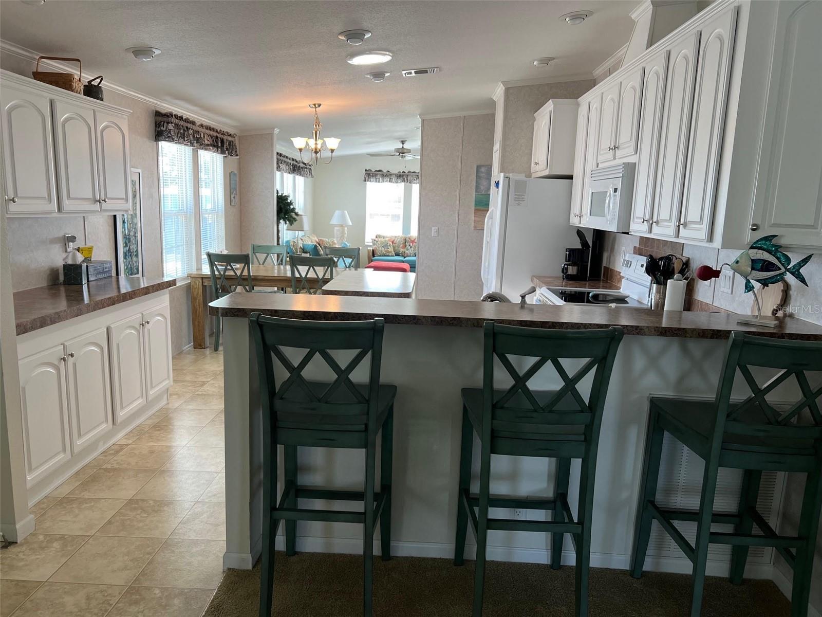 13225 101ST ST #482, LARGO, FL, 33773