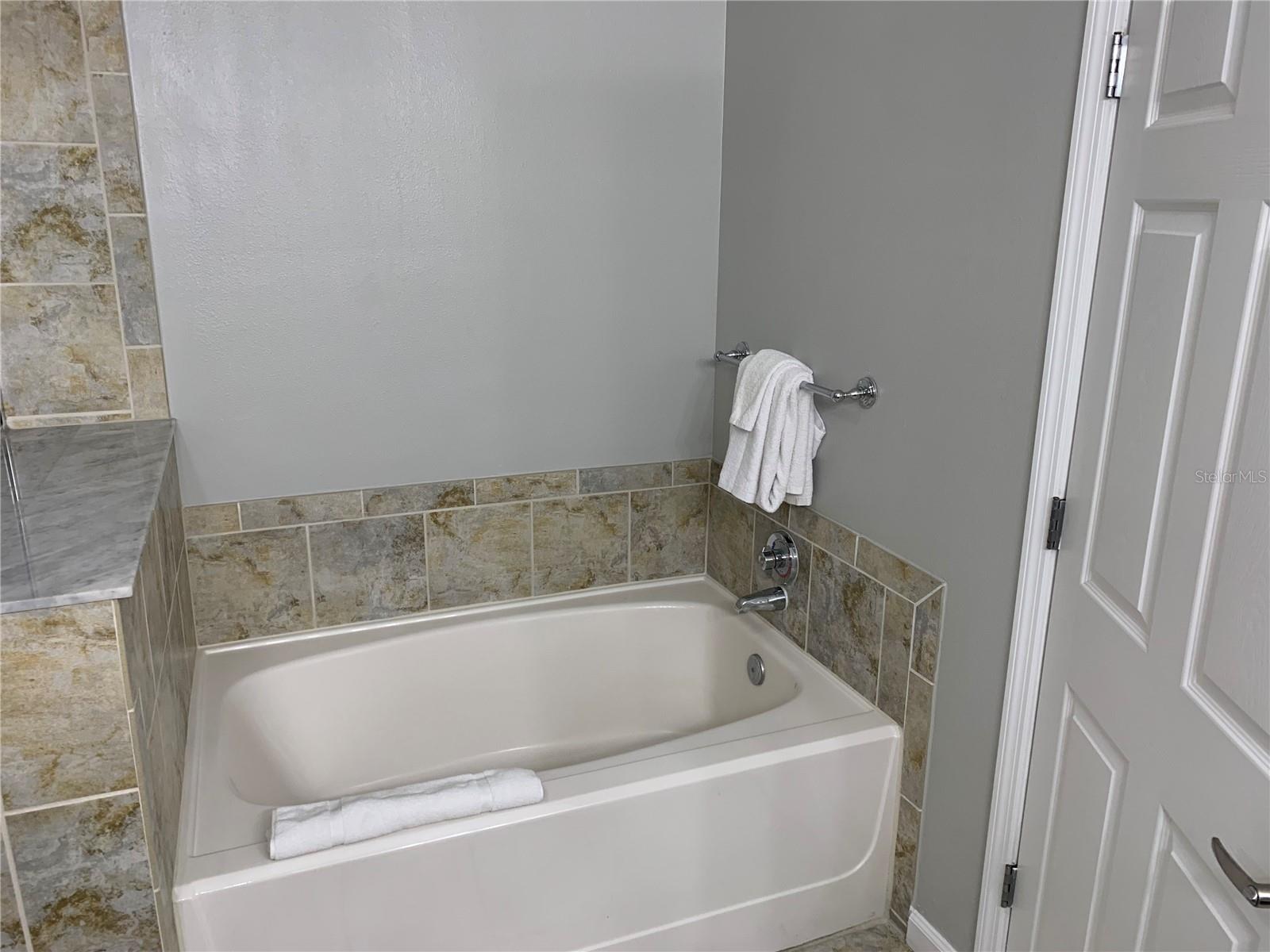 14501 GROVE RESORT AVE #1105, WINTER GARDEN, FL, 34787