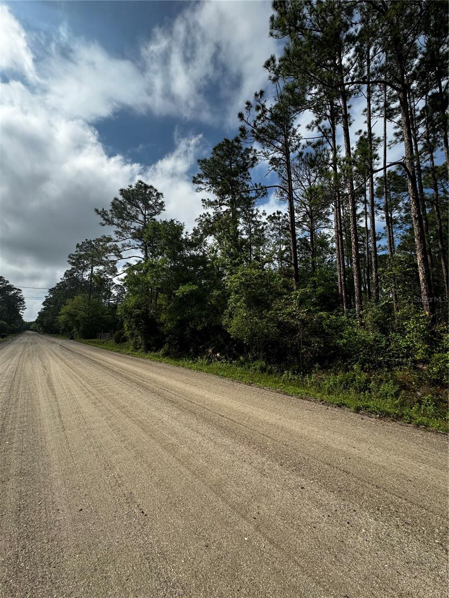 6248 WALNUT AVE, BUNNELL, FL, 32110