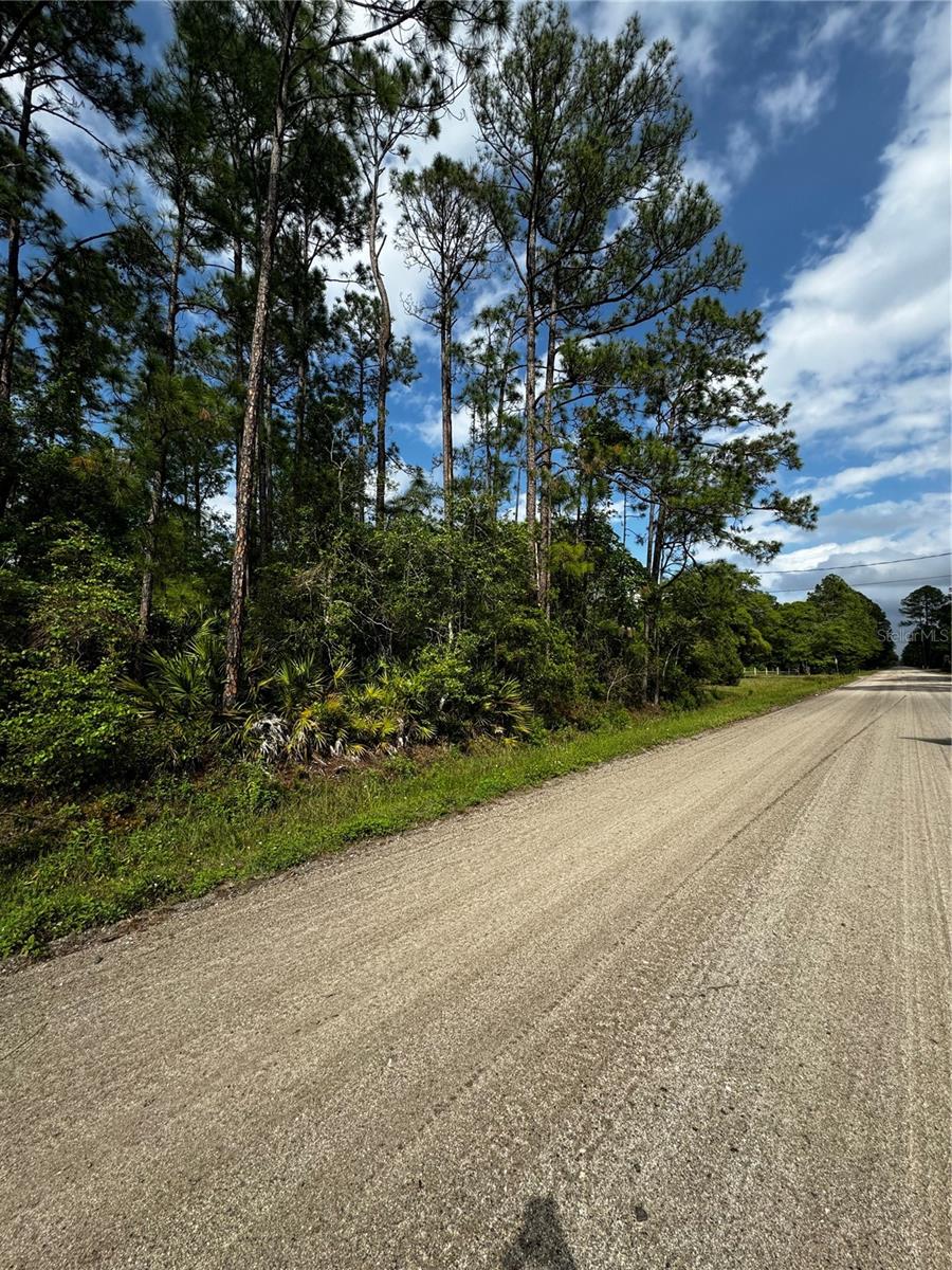 6248 WALNUT AVE, BUNNELL, FL, 32110