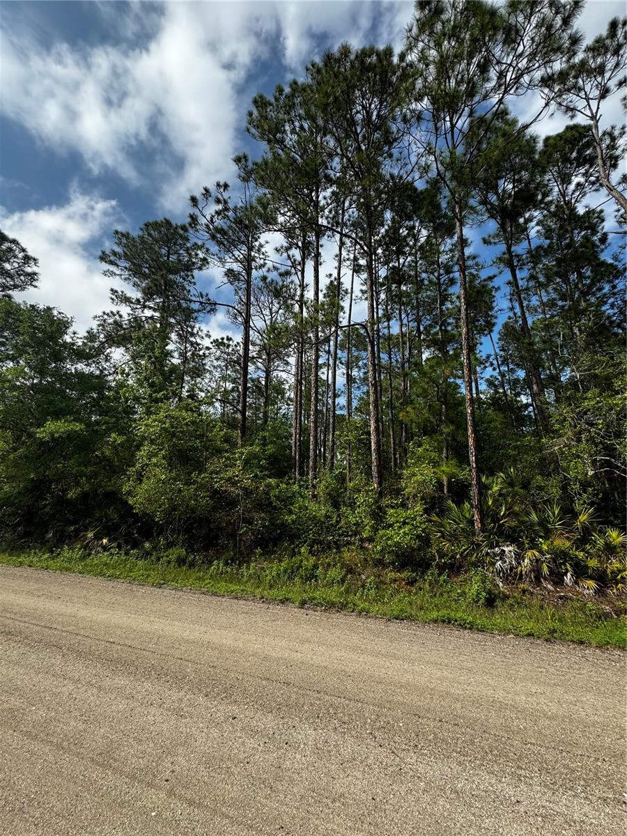 6248 WALNUT AVE, BUNNELL, FL, 32110