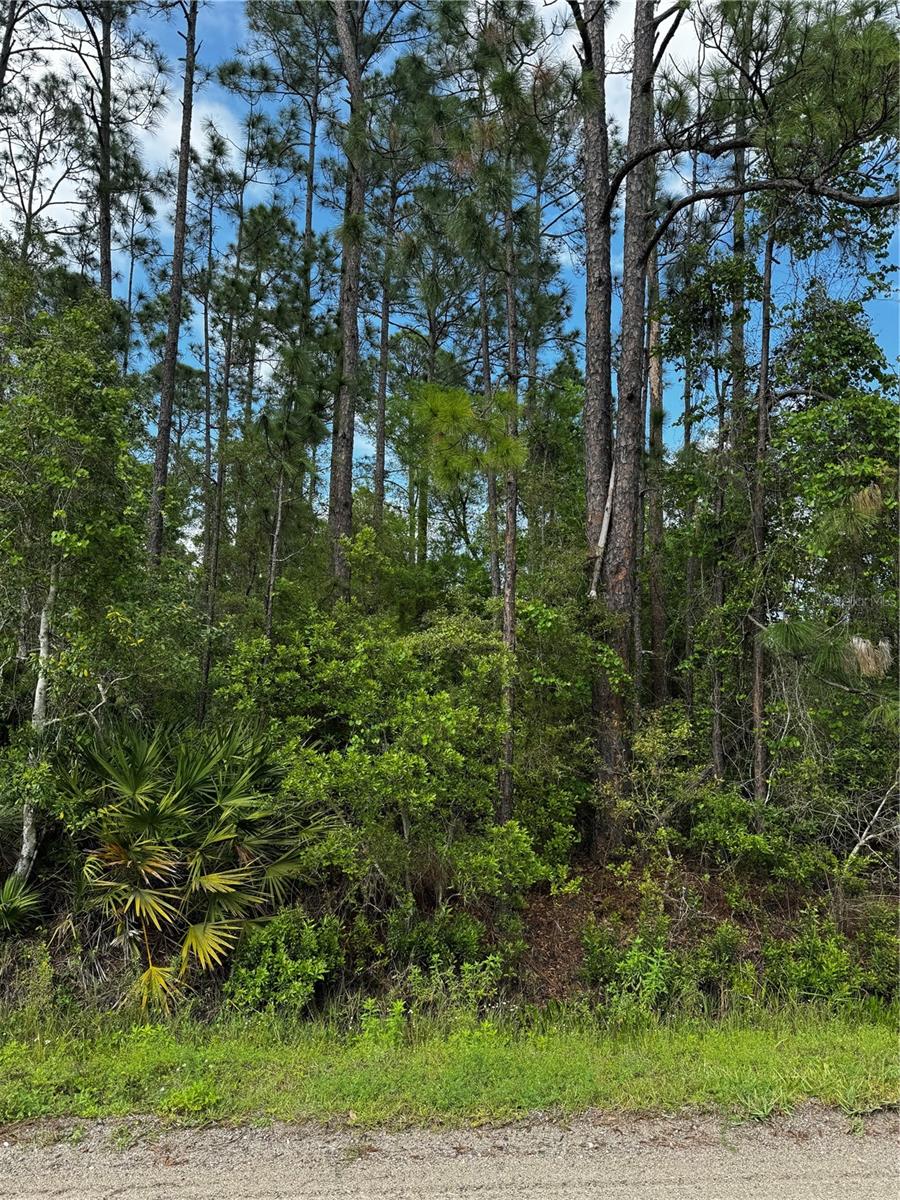 6248 WALNUT AVE, BUNNELL, FL, 32110