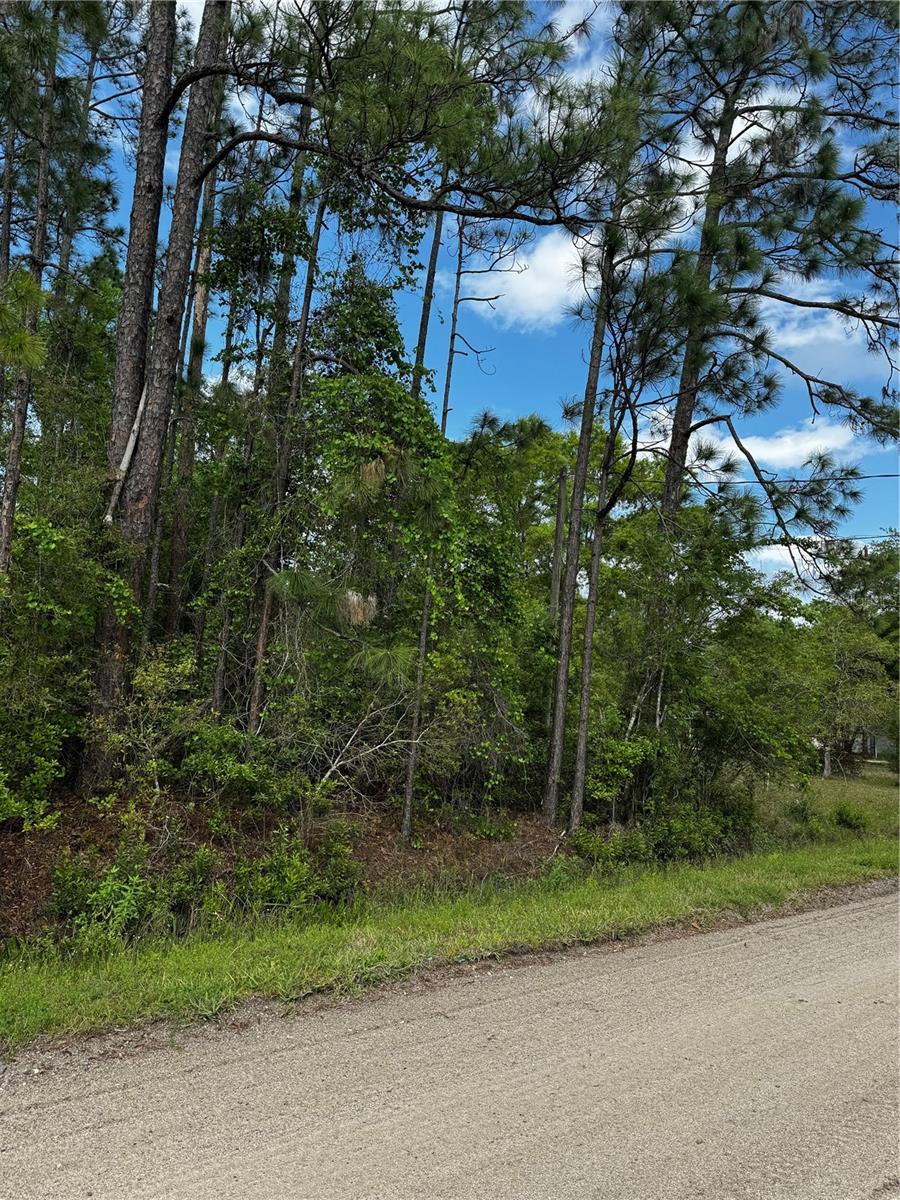 6248 WALNUT AVE, BUNNELL, FL, 32110