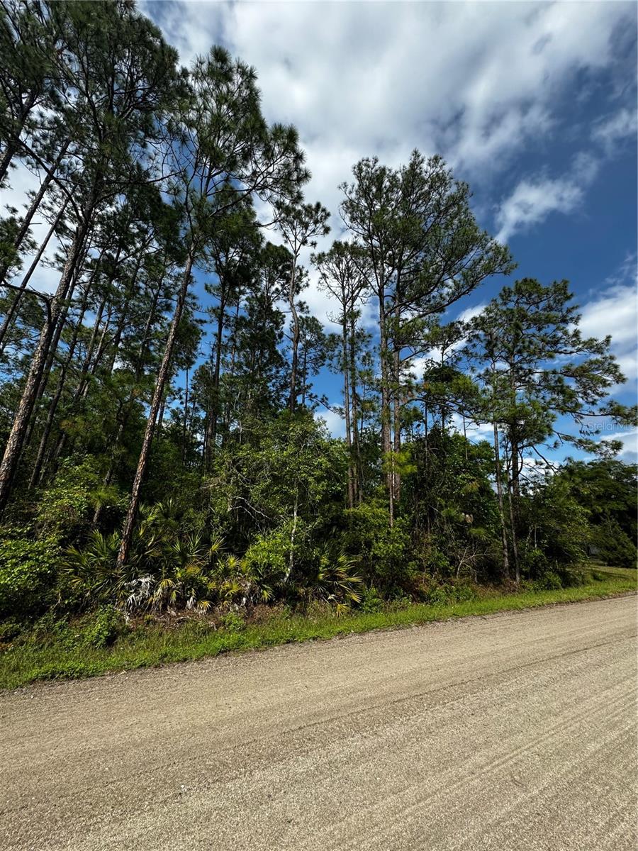 6248 WALNUT AVE, BUNNELL, FL, 32110