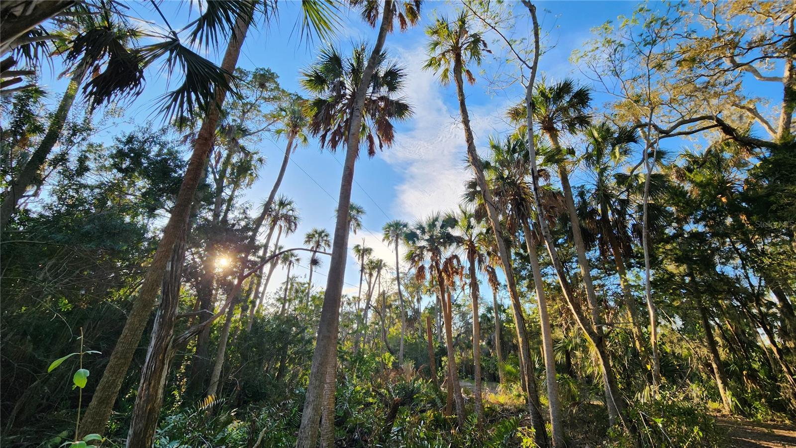 0 FELKER DR, WEEKI WACHEE, FL, 34607