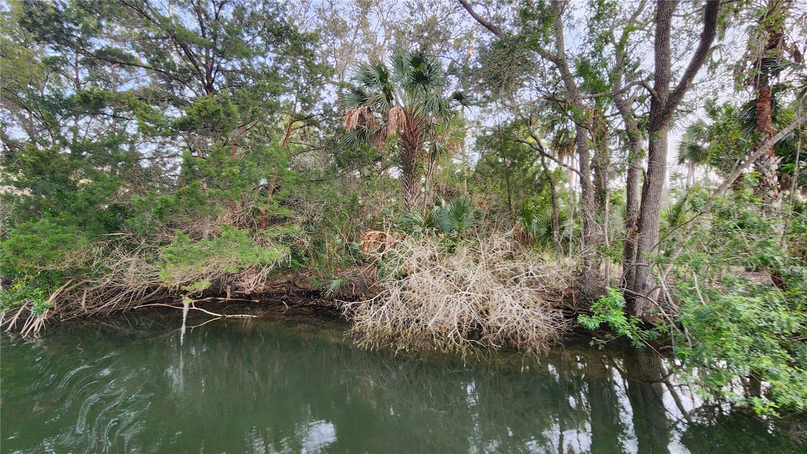 0 FELKER DR, WEEKI WACHEE, FL, 34607
