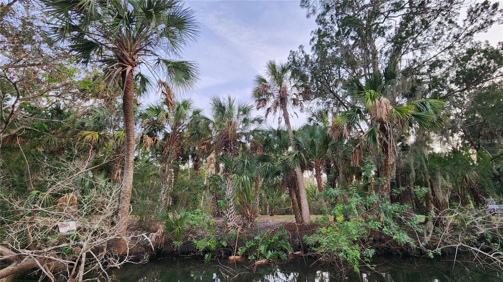 0 FELKER DR, WEEKI WACHEE, FL, 34607