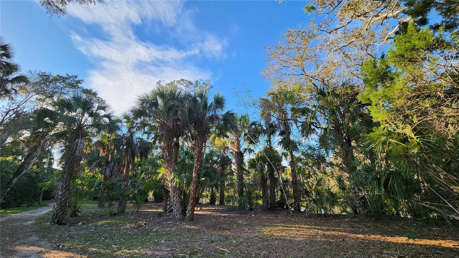 0 FELKER DR, WEEKI WACHEE, FL, 34607