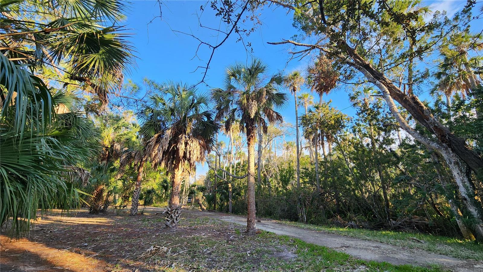 0 FELKER DR, WEEKI WACHEE, FL, 34607