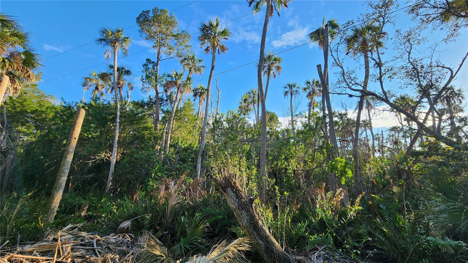 0 FELKER DR, WEEKI WACHEE, FL, 34607