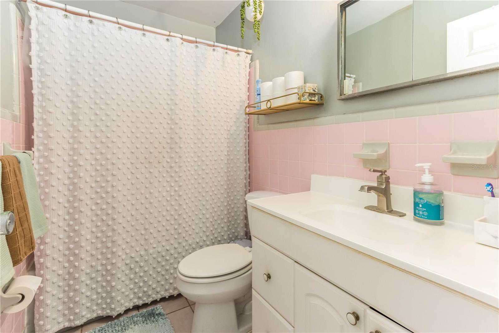 2717 PINEHURST AVE, BELLEAIR BLUFFS, FL, 33770