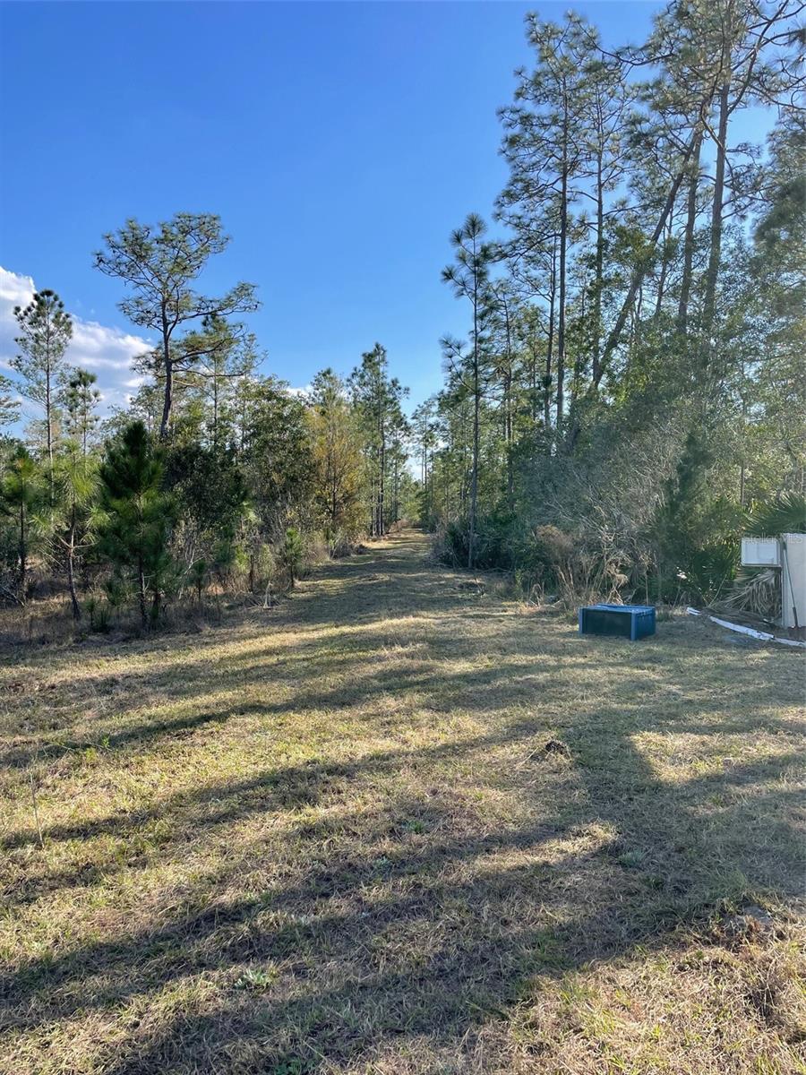 4685 MAGNOLIA RD, NEW SMYRNA BEACH, FL, 32168