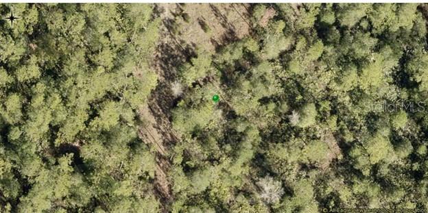 4685 MAGNOLIA RD, NEW SMYRNA BEACH, FL, 32168