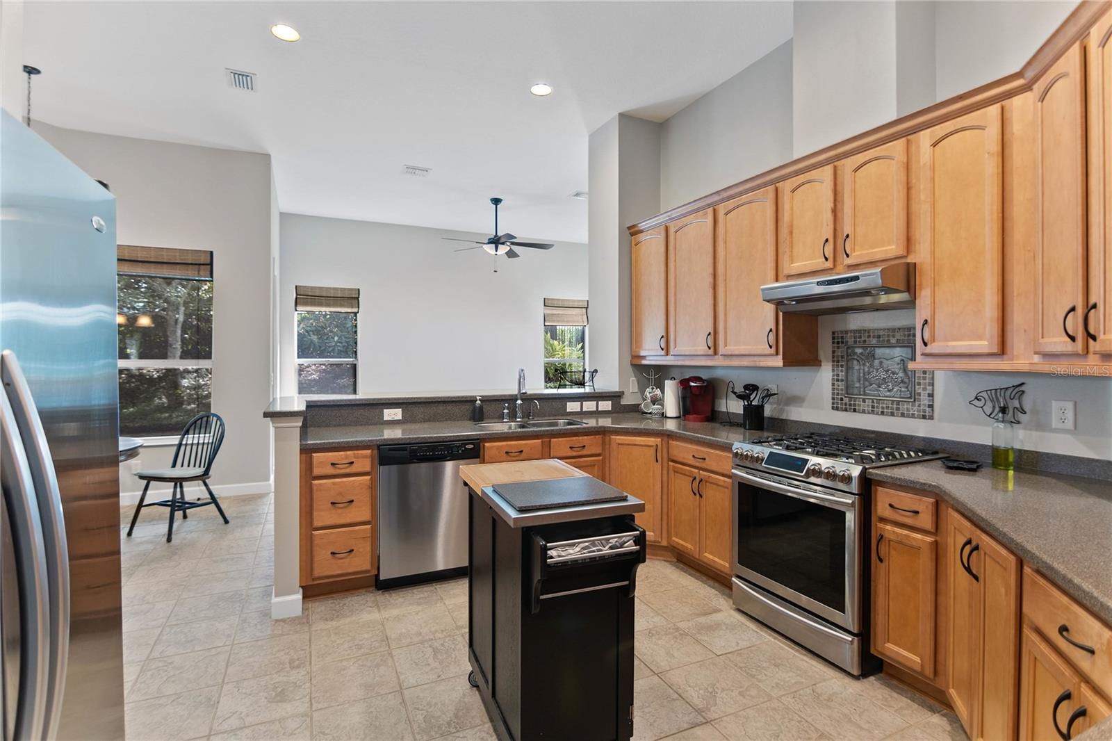 8032 BRIDGEPORT BAY CIR, MOUNT DORA, FL, 32757
