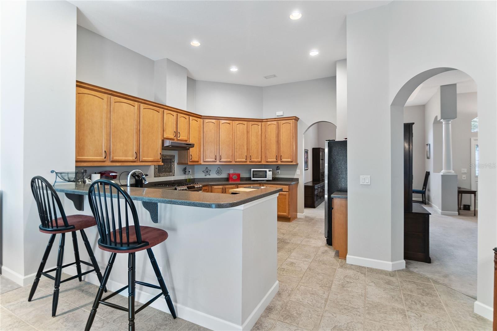8032 BRIDGEPORT BAY CIR, MOUNT DORA, FL, 32757