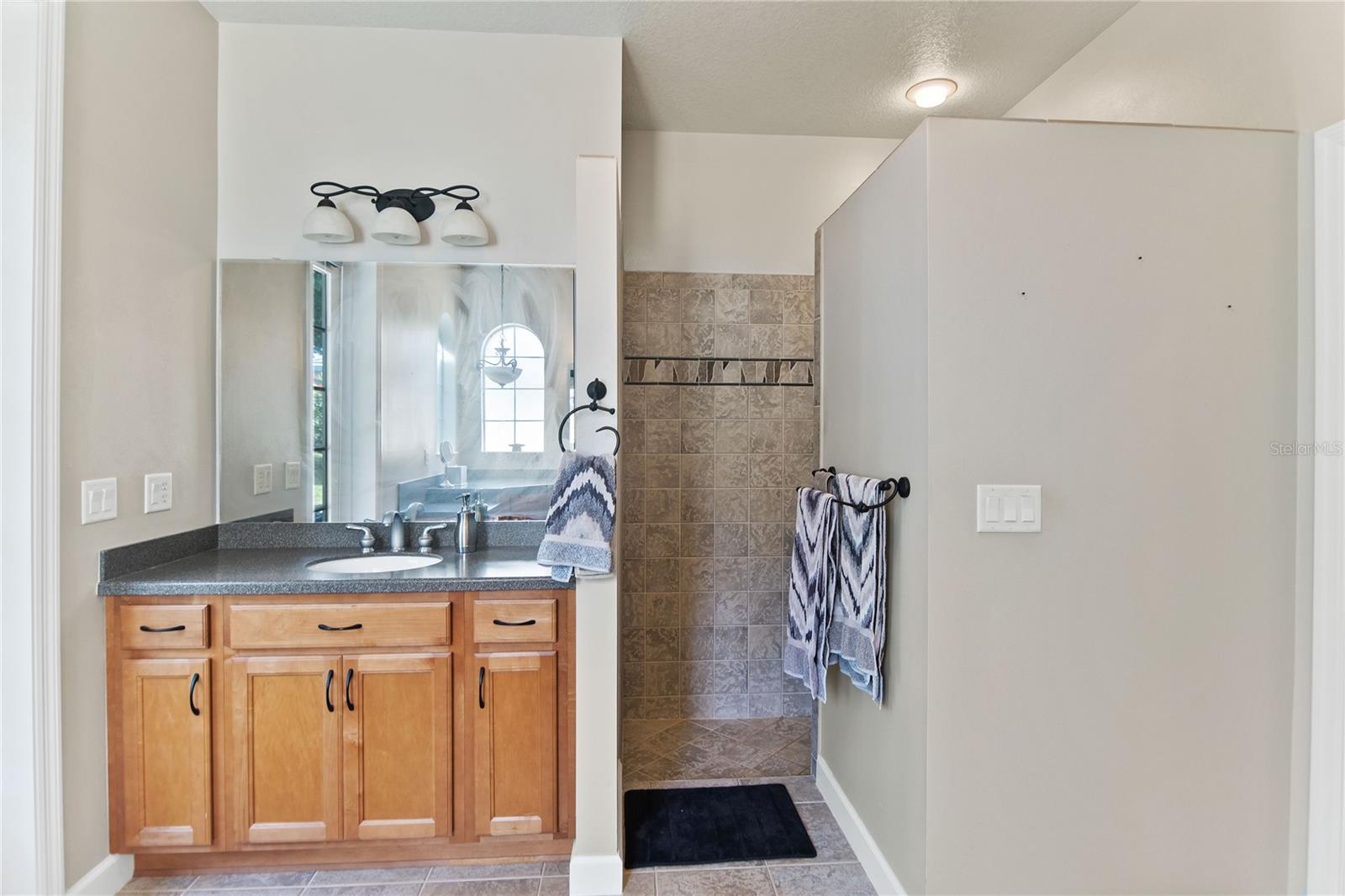 8032 BRIDGEPORT BAY CIR, MOUNT DORA, FL, 32757