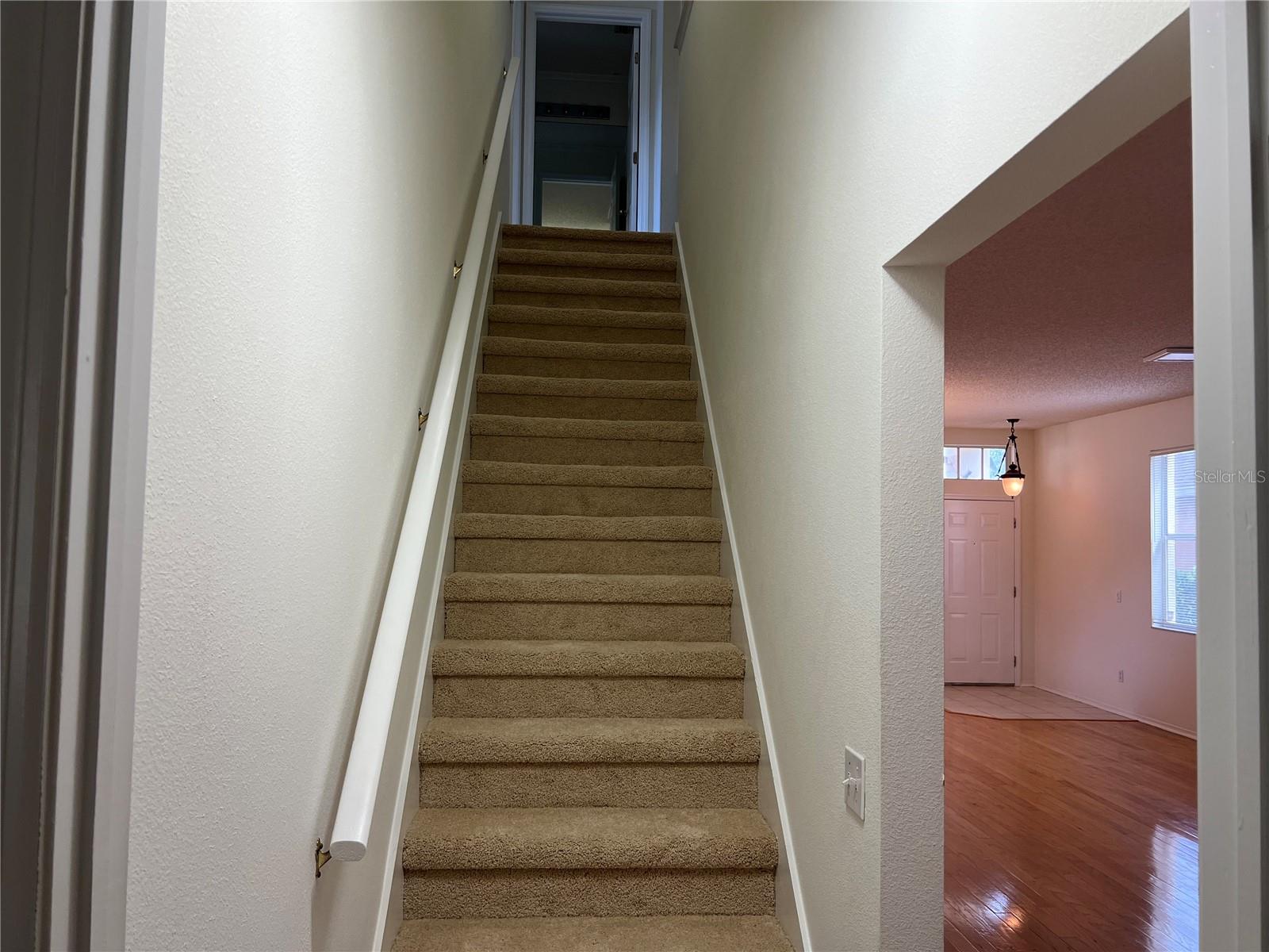 9818 MORRIS GLEN WAY, TEMPLE TERRACE, FL, 33637